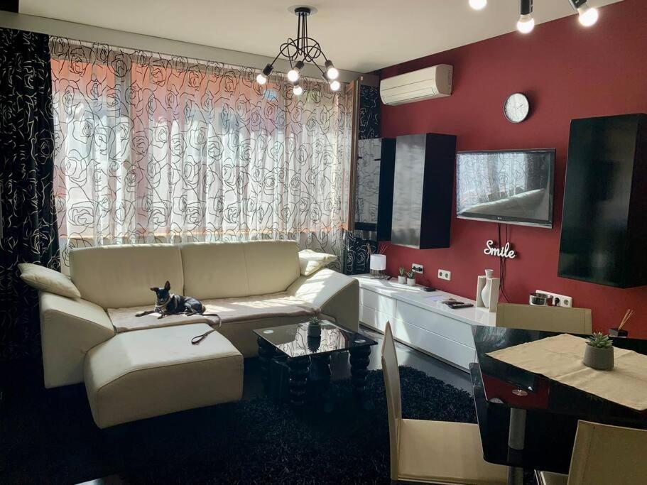 Lovely Sofia Apartment Katerina With Free Parking Exterior photo